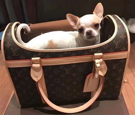 louis vuitton chien|Pour Animaux de Compagnie .